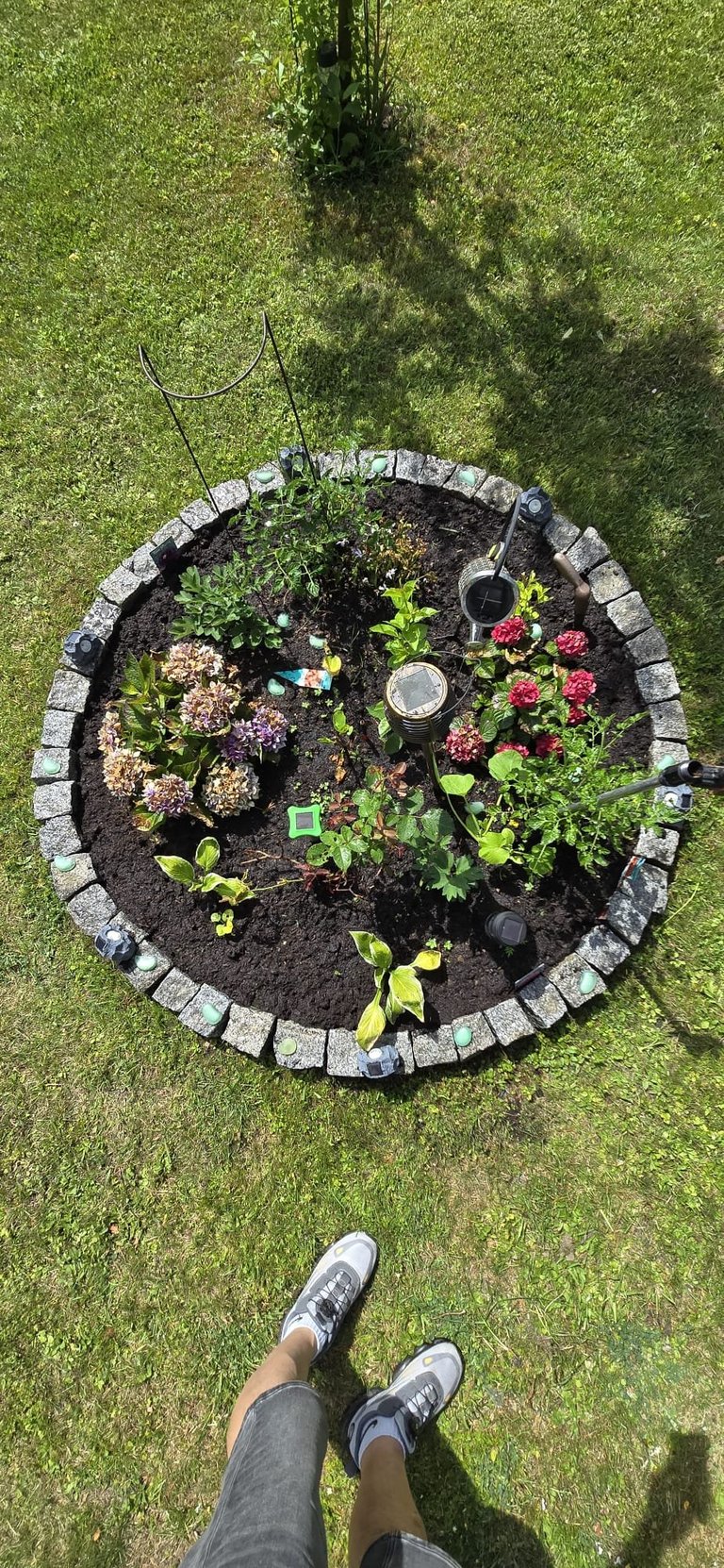 Overhead view of a circular stone-bordered garden bed with colorful flowers and plants, persons feet in sneakers visible at bottom of frame on grass
