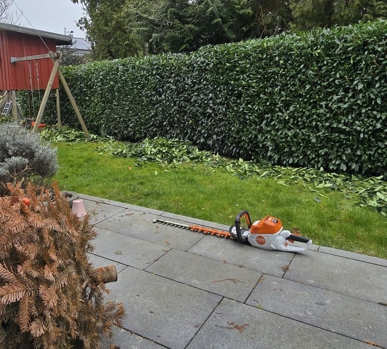 Orange and black hedge trimmer on gray patio next to brown plant, with green lawn and tall hedge border in background