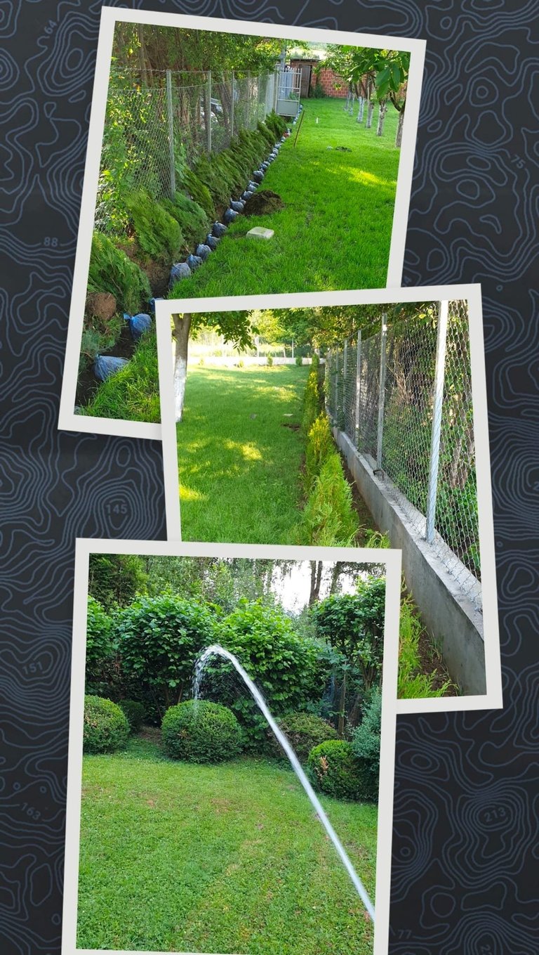 Three overlapping photos of garden pathways with green lawns, fences, hedges, and a metal gutter on dark patterned background